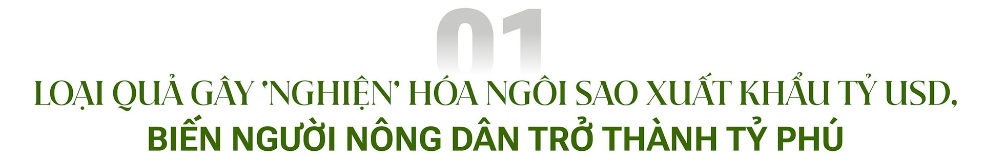 Khi vua trái cây Việt Nam lên ngôi vương 2023: Được người Trung Quốc đam mê ‘không lối thoát’, phá kỷ lục trở thành ‘kho báu’ xuất khẩu tỷ USD- Ảnh 3.