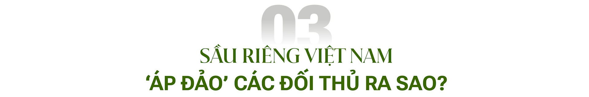 Khi vua trái cây Việt Nam lên ngôi vương 2023: Được người Trung Quốc đam mê ‘không lối thoát’, phá kỷ lục trở thành ‘kho báu’ xuất khẩu tỷ USD- Ảnh 12.