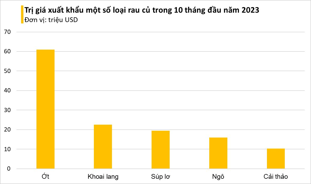 Việt Nam sở hữu loại củ 'trường thọ' được người Nhật quý như vàng: Trung Quốc vừa ăn đã mê, xuất khẩu từ củ đến lá hàng chục triệu USD- Ảnh 3.