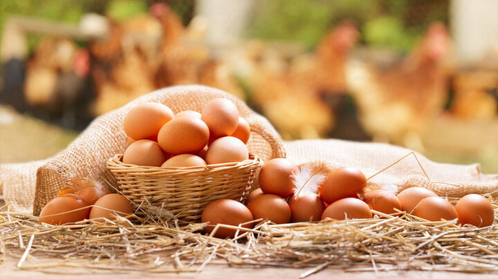 Khi mua trứng nên chọn trứng to hay nhỏ?- Ảnh 3.