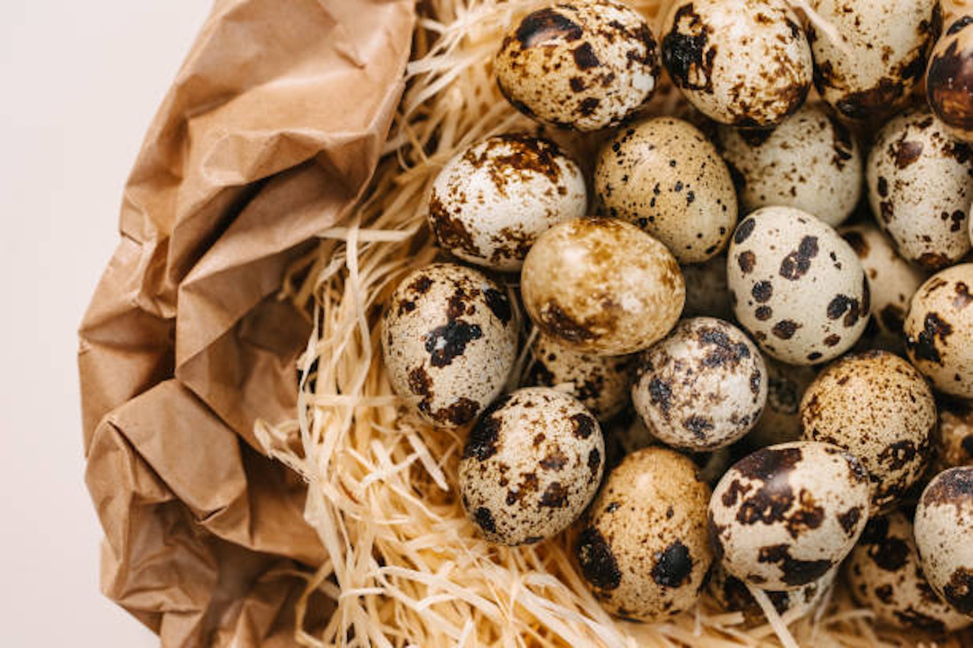 Loại trứng quen giá rẻ có cholesterol thấp hơn trứng gà, tăng gấp 3 lần trao đổi chất và bảo vệ mạch máu hiệu quả- Ảnh 1.