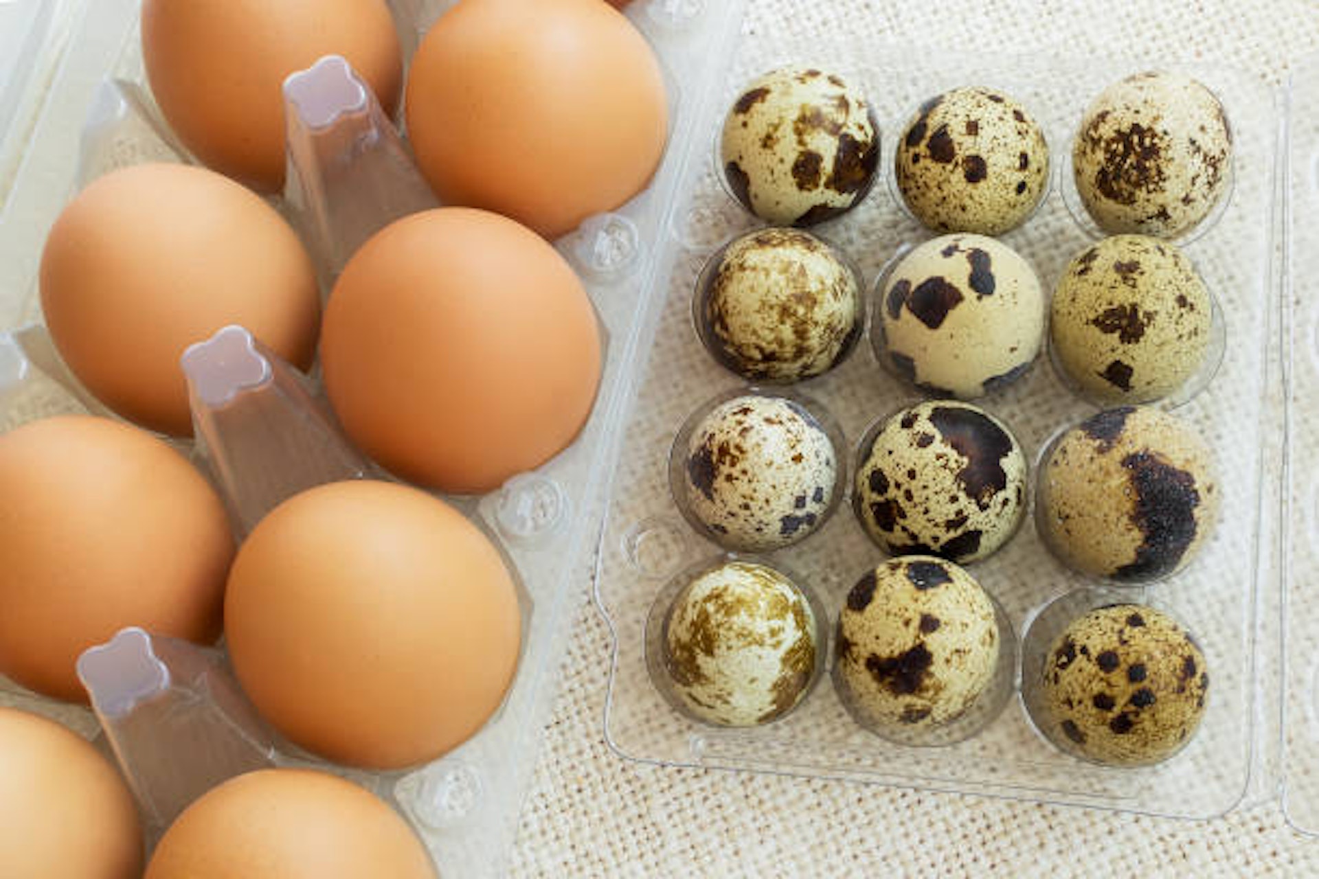 Loại trứng quen giá rẻ có cholesterol thấp hơn trứng gà, tăng gấp 3 lần trao đổi chất và bảo vệ mạch máu hiệu quả- Ảnh 3.