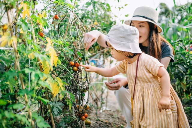 Tai hại "luật đuổi rắn" trong mỗi gia đình: Con cái lớn lên kém cỏi vì cha mẹ có 3 HÀNH VI- Ảnh 3.