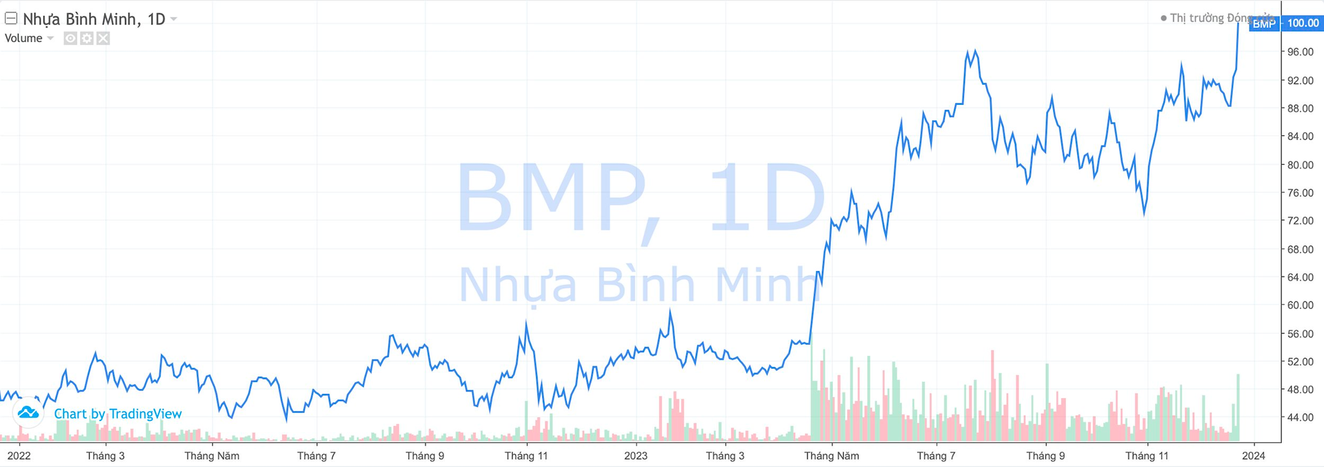 Cổ phiếu Nhựa Bình Minh (BMP) cán mốc 100.000 đồng, “đại gia” Thái Lan lãi đậm sau hơn 5 năm thâu tóm- Ảnh 2.