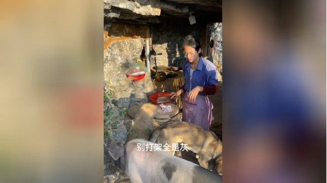 Trung Quốc: Thanh niên 21 tuổi ‘nghỉ hưu’, về dựng lều sống cheo leo trên núi- Ảnh 2.