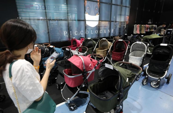 Hàn Quốc: Lần đầu tiên trong lịch sử xe đẩy thú cưng bán chạy hơn xe đẩy em bé, một loạt dấu hiệu đáng báo động đã được thấy rõ- Ảnh 1.