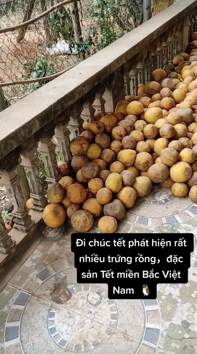 Khung cảnh báo hiệu Tết đã đến rất gần, là "đặc sản" Tết miền Bắc mà ai nhìn qua cũng hiểu ngay vấn đề- Ảnh 4.