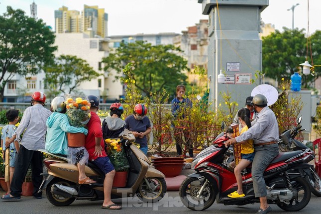 TPHCM sẽ mua lại hoa bị ế trong dịp Tết- Ảnh 1.