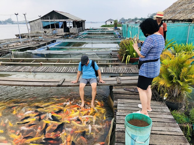 Ngoài "đặc sản" cá lóc bay, Tết này tìm tới Cần Thơ hái quả vú sữa chín mọng và đổ bánh đúng điệu miền Tây- Ảnh 10.