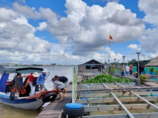 Ngoài "đặc sản" cá lóc bay, Tết này tìm tới Cần Thơ hái quả vú sữa chín mọng và đổ bánh đúng điệu miền Tây- Ảnh 18.