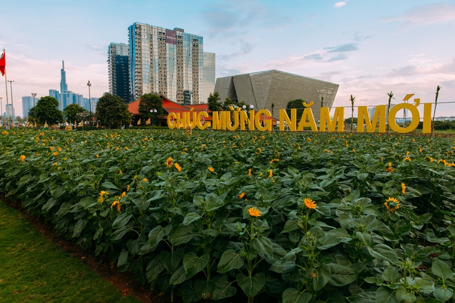 Những ngày cuối cùng của năm 2023: Nắng thì đẹp, phố yên bình và người rất xinh!- Ảnh 16.