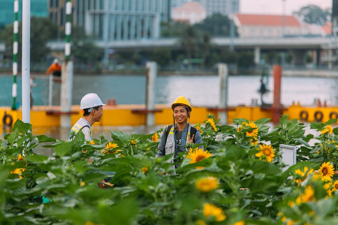 Những ngày cuối cùng của năm 2023: Nắng thì đẹp, phố yên bình và người rất xinh!- Ảnh 9.