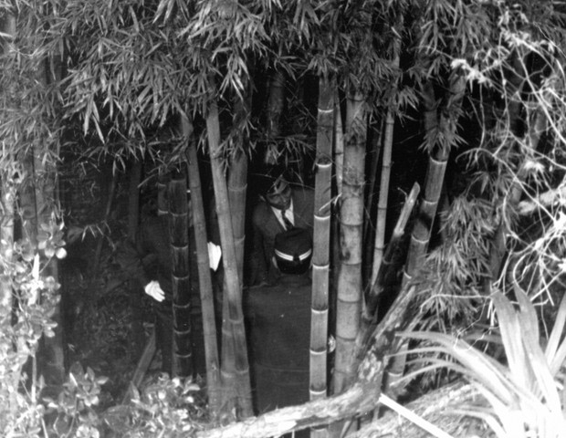 Vào rừng hái măng, người đàn ông nhặt được túi tiền hơn 24 tỷ đồng, cảnh sát Nhật Bản lập tức vào cuộc điều tra: Danh tính chủ nhân số tiền gây bất ngờ - Ảnh 2.