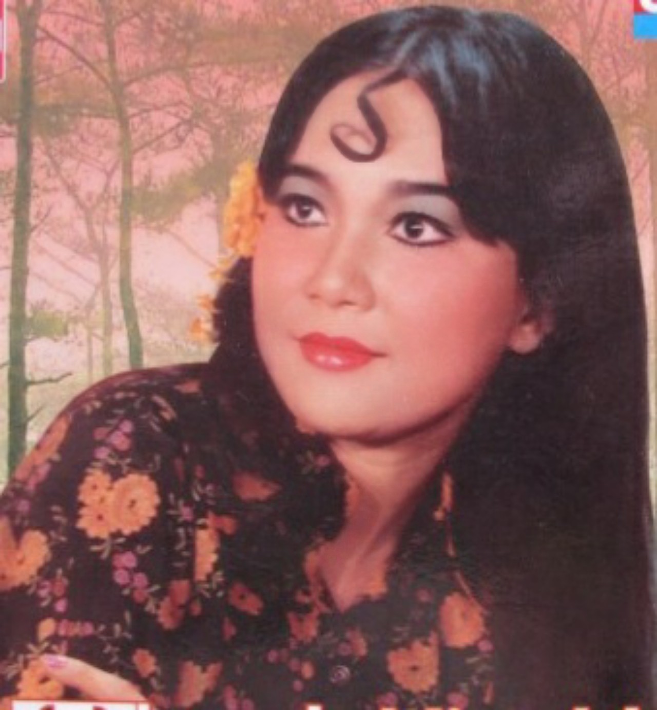 Thanh Điền - Thanh Kim Huệ: Duyên đời, duyên nghề - Ảnh 3.