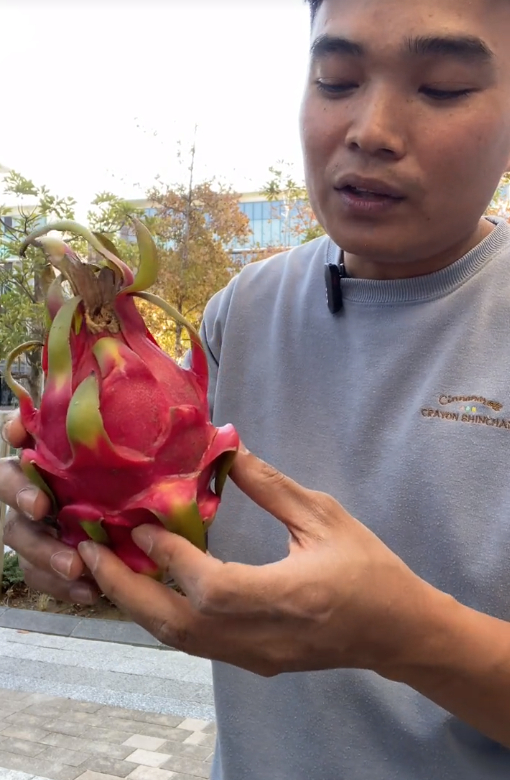 Dạo quanh một vòng xem trái thanh long bày trên kệ siêu thị nước ngoài: Giá cao ngất vì phải nhập khẩu, có nơi 315.000 VNĐ/quả - Ảnh 4.