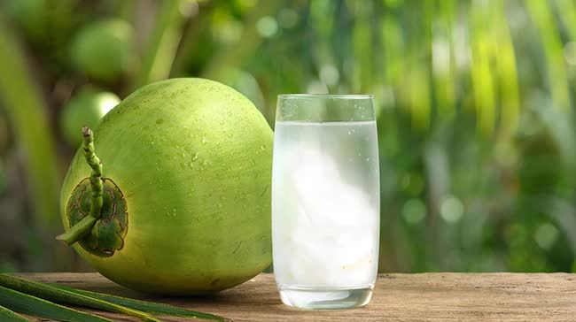 Sự thật chuyện uống nước dừa giúp lọc sạch phổi và 3 điều quan trọng cần biết khi uống kẻo hại thân - Ảnh 2.