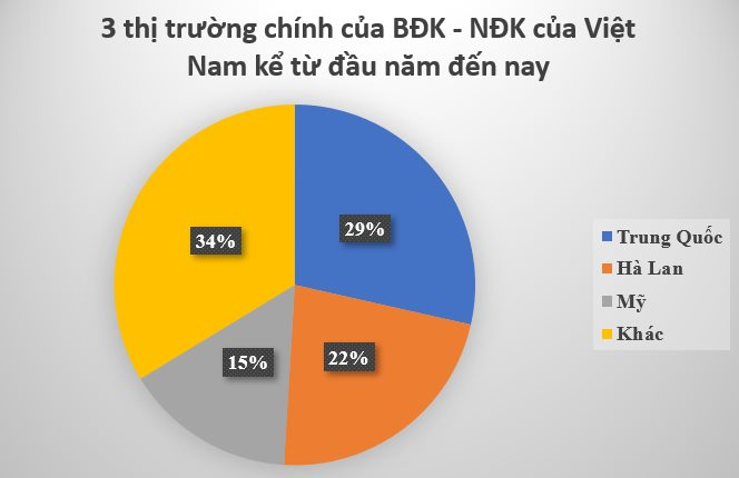 Trung Quốc săn lùng loại gia vị quý hiếm đắt thứ 3 thế giới của Việt Nam: Thu về hàng chục triệu USD kể từ đầu năm, trên 3 năm mới được thu hoạch - Ảnh 2.