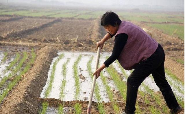 Con dâu hết lòng chăm sóc nhưng mẹ chồng vẫn thở dài, sau khi bà qua đời thứ để lại khiến ai cũng ngỡ ngàng - Ảnh 1.