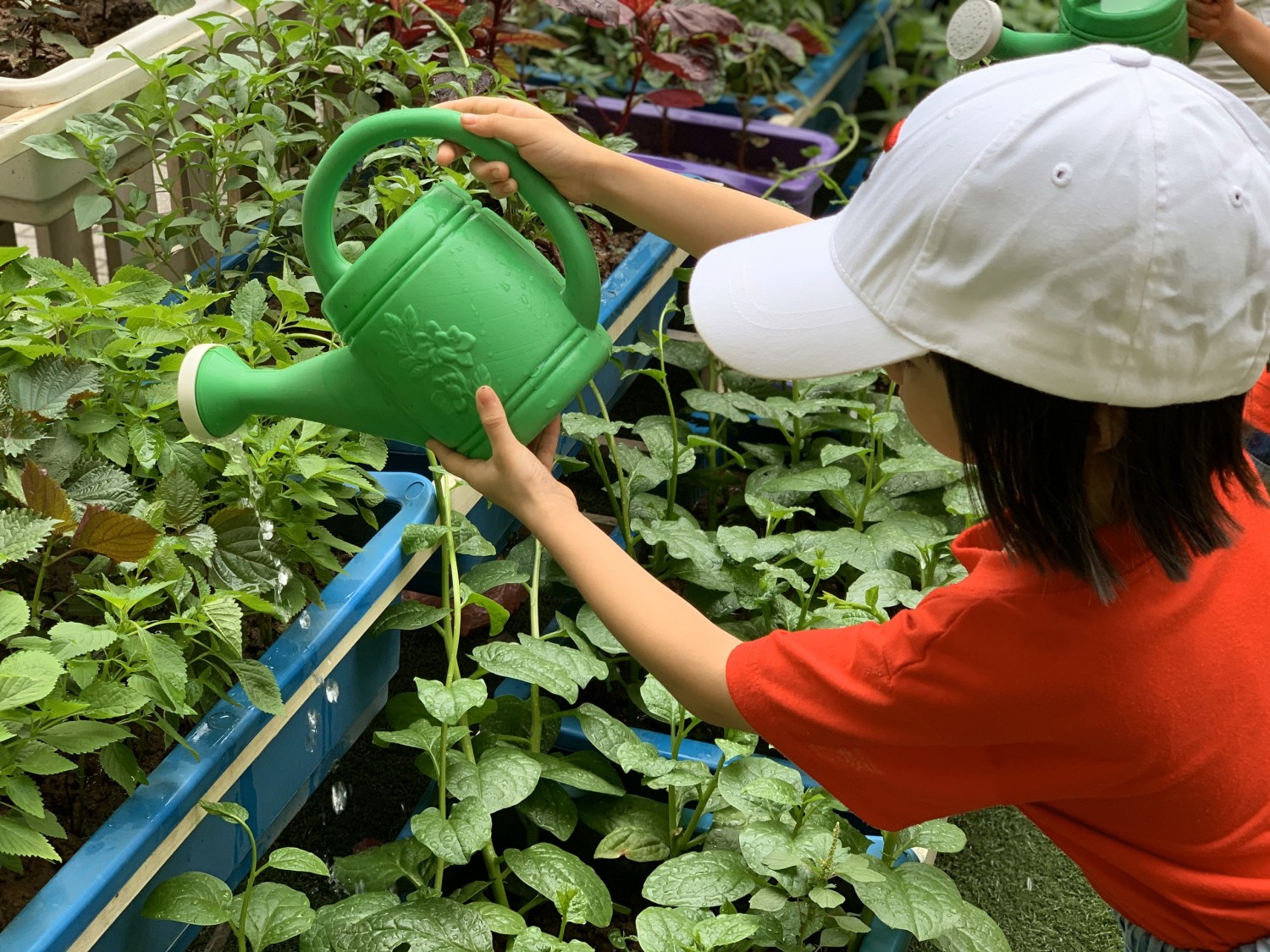  9 kỹ năng sống quan trọng cha mẹ cần dạy con, dù đi đâu trẻ cũng có thể sống tốt  - Ảnh 3.