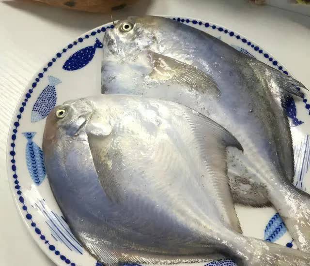 Những người am hiểu sẽ mua 3 loại cá này để làm các món cá ngon trong mùa đông vì chúng giàu protein và hương vị chất lượng - Ảnh 3.