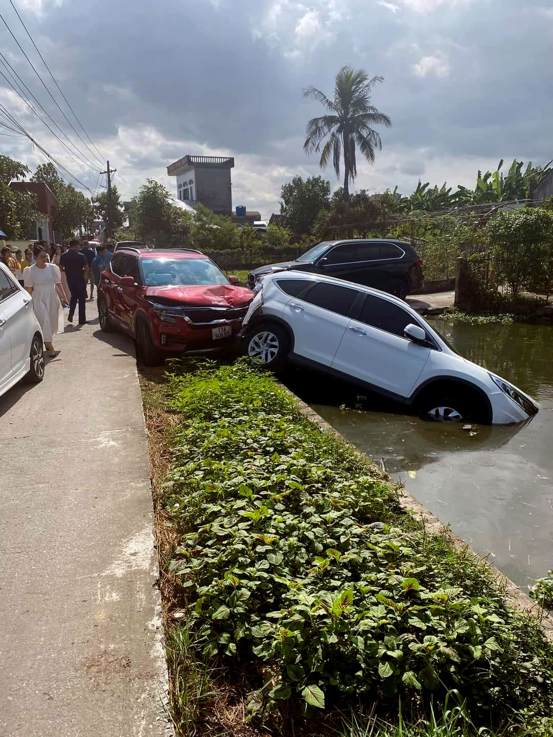 Ảnh TNGT: KIA Seltos đâm Honda CR-V cắm đầu xuống ao - Ảnh 1.