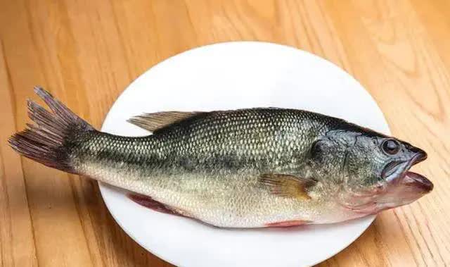 Những người am hiểu sẽ mua 3 loại cá này để làm các món cá ngon trong mùa đông vì chúng giàu protein và hương vị chất lượng - Ảnh 1.