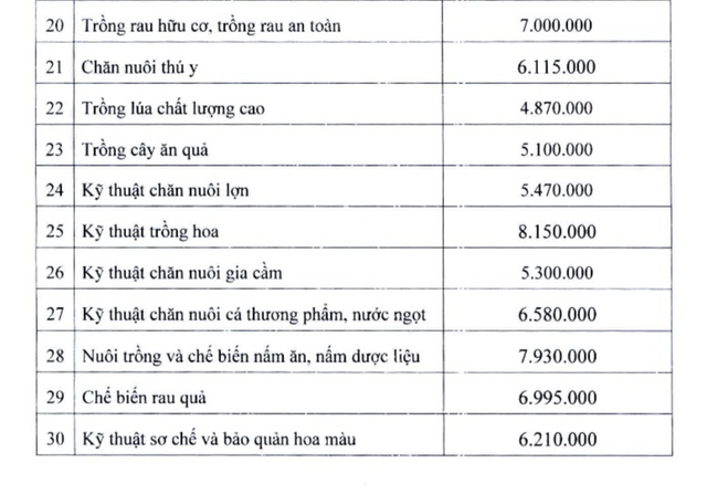 Hà Nội: Giá dịch vụ đào tạo lái xe ô tô B2 là hơn 15 triệu đồng - Ảnh 4.
