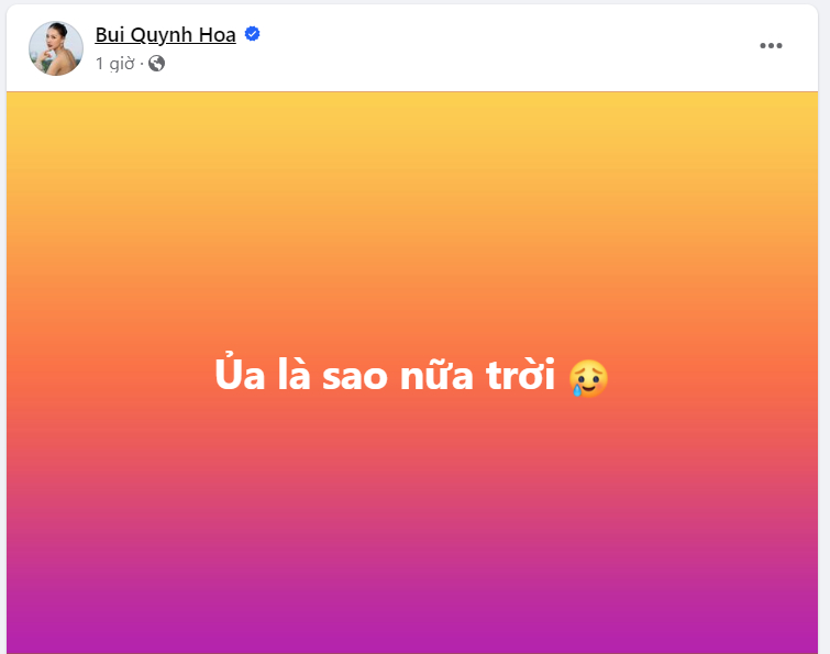 Bùi Quỳnh Hoa lên tiếng khi bị Nam Em tố chơi xấu, nhưng động thái sau đó càng gây chú ý hơn - Ảnh 2.