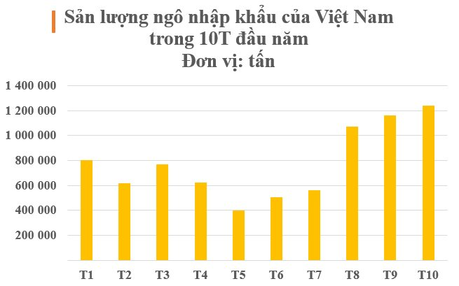 Báu vật tỷ đô của Ấn Độ đổ bộ Việt Nam với giá rẻ bất ngờ: Là nguyên liệu giúp nước ta thu hàng chục tỷ USD - Ảnh 2.