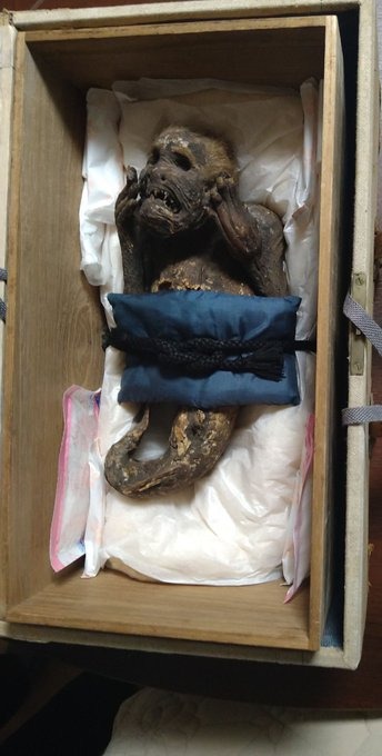 Danh tính bất ngờ của xác ướp nàng tiên cá 300 năm tuổi ở Nhật Bản vừa được tiết lộ - Ảnh 5.