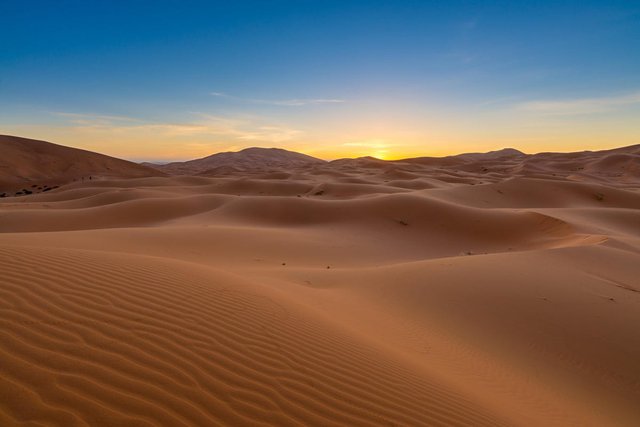 Nhiều người đề xuất phủ xanh sa mạc, chuyên gia: Nếu làm như vậy, loài người sẽ vô cùng hối hận - Ảnh 4.