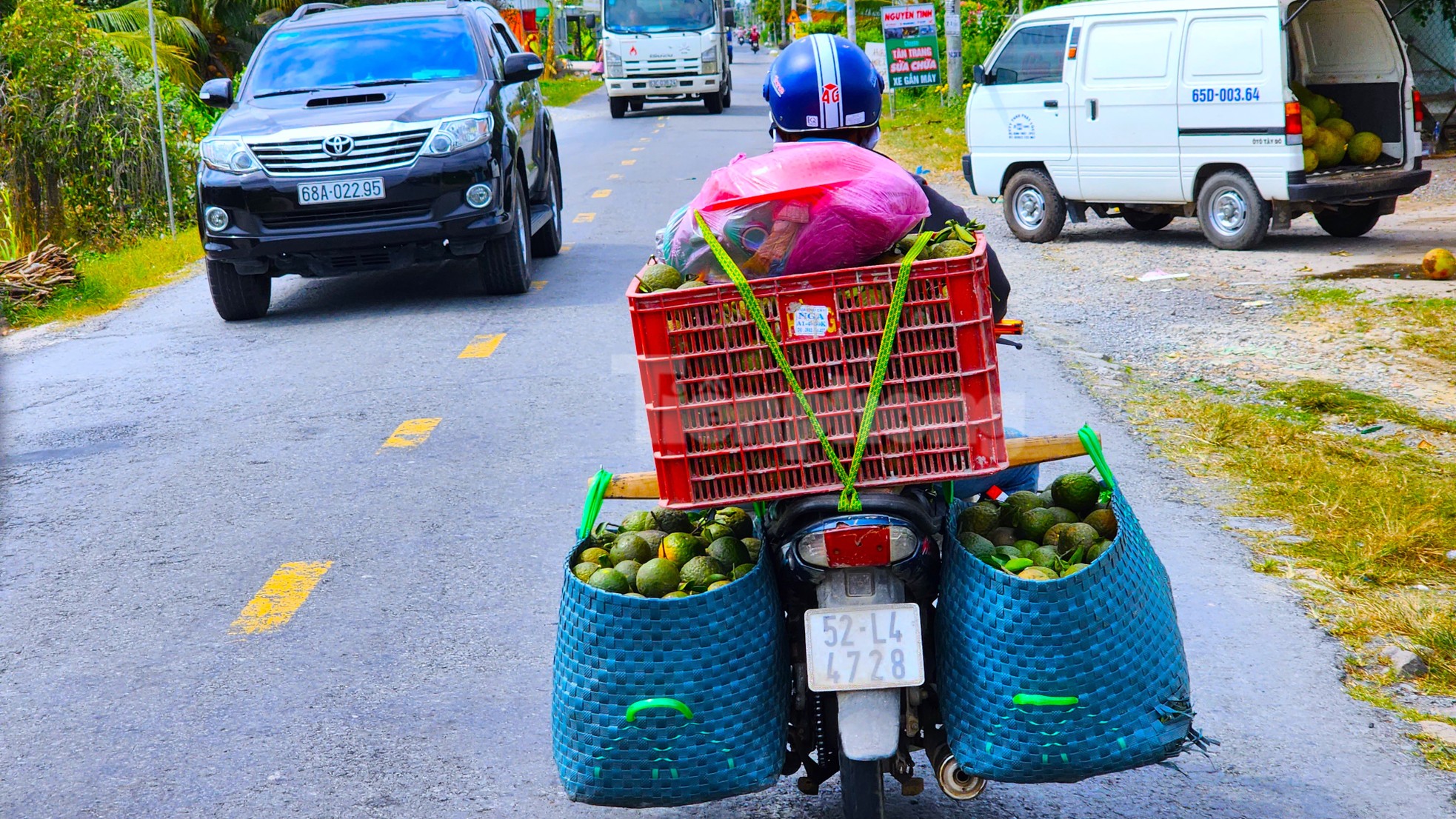 Xót xa vườn cam sành trĩu quả nguy cơ mất trắng vì giá rẻ như bèo - Ảnh 9.