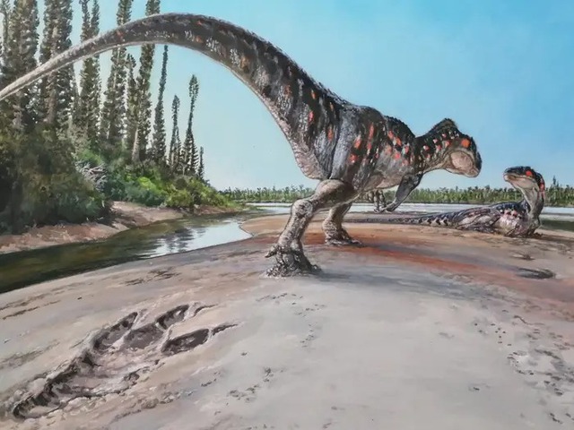 Đi dạo ven biển để nhặt vỏ ốc, tình cờ phát hiện dấu chân khủng long từ 160 triệu năm trước - Ảnh 3.