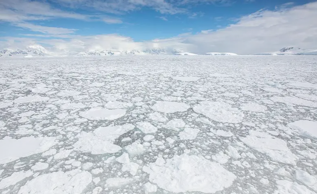 Băng biển ở Nam Cực thấp nhất trong gần 45 năm - Ảnh 2.