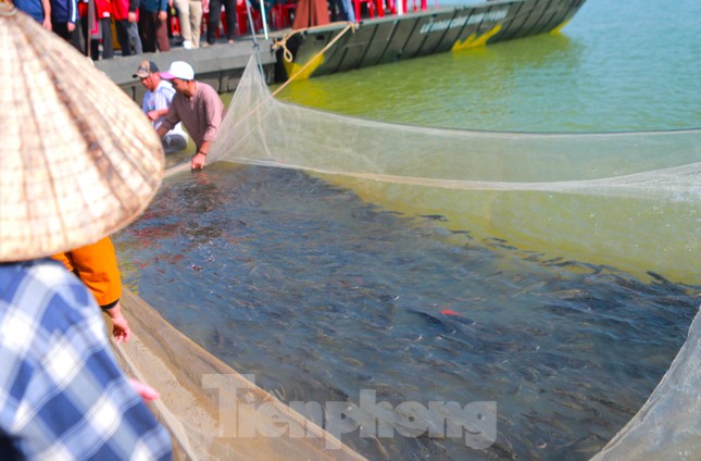 Hàng nghìn phật tử cùng người dân xuống sông phóng sinh 10 tấn cá - Ảnh 6.
