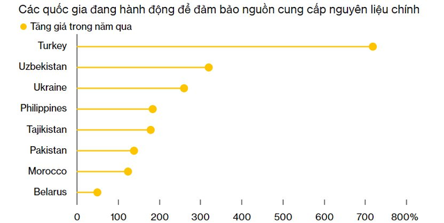  1 loại củ phổ biến ở Việt Nam nhưng đang là quả bom dinh dưỡng của thế giới, dự báo gây ra cuộc khủng hoảng nghiêm trọng khiến ít nhất 3 tỷ người ảnh hưởng  - Ảnh 2.