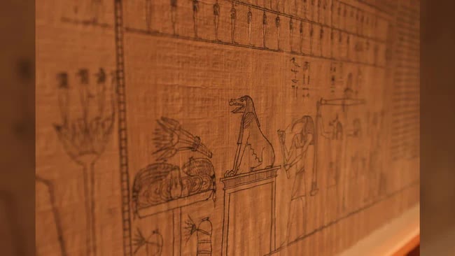 Ai Cập công bố cuốn sách còn nguyên vẹn từ 2.000 năm trước: Nhìn chữ “đọc vị” người viết - Ảnh 12.