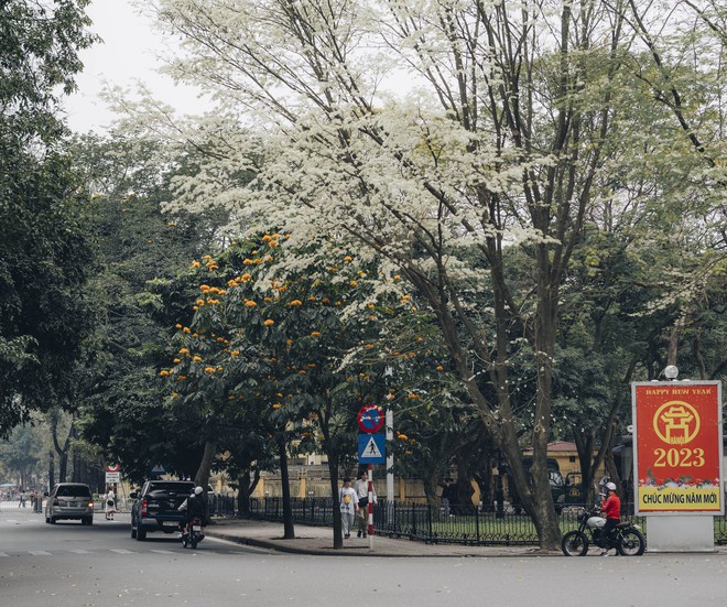 Hà Nội mùa này: Nhìn đâu cũng thấy lãng mạn, trời đẹp chỉ muốn bỏ tất cả mà đi chơi - Ảnh 9.