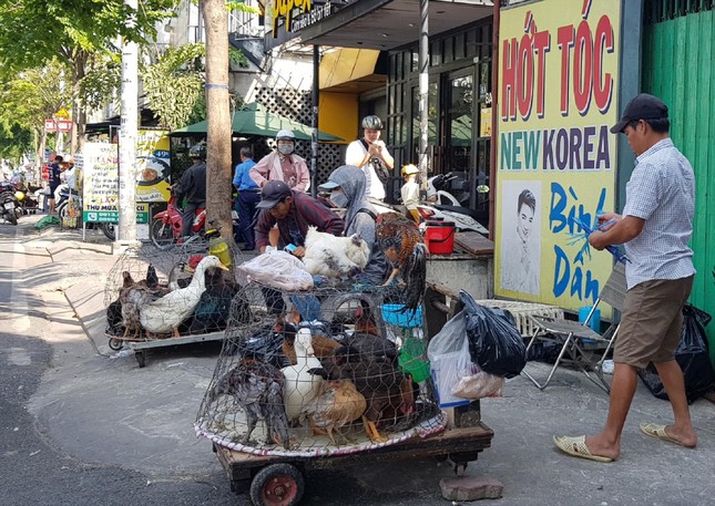 Nguy cơ cúm A từ Campuchia xâm nhập các tỉnh phía Nam - Ảnh 1.