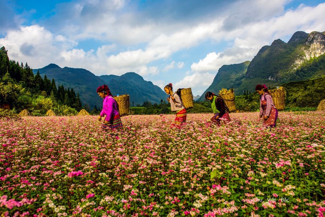 Vách đá trắng trên đèo Mã Pí Lèng: Có gì mà dân du lịch bụi gọi là chỗ ngủ view ngàn sao? - Ảnh 1.