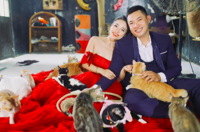 Yêu 12 năm mới cưới, cặp đôi mang tiếng bất hiếu vì chọn không sinh con để chăm sóc cho 450 chú chó mèo - Ảnh 3.