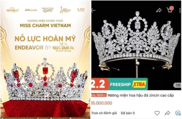  Vương miện Miss Charm Vietnam dành cho Thanh Thanh Huyền bị tố đạo nhái - Ảnh 1.