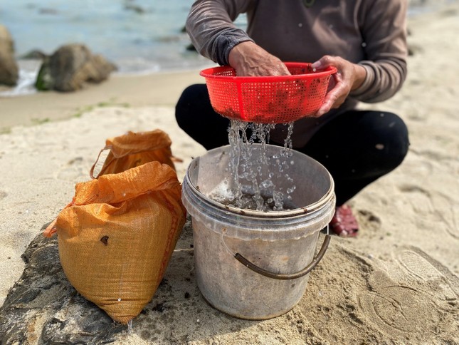 Những phụ nữ ‘cược’ mạng sống với biển, đu bám ghềnh đá hái rau nước mưu sinh - Ảnh 9.