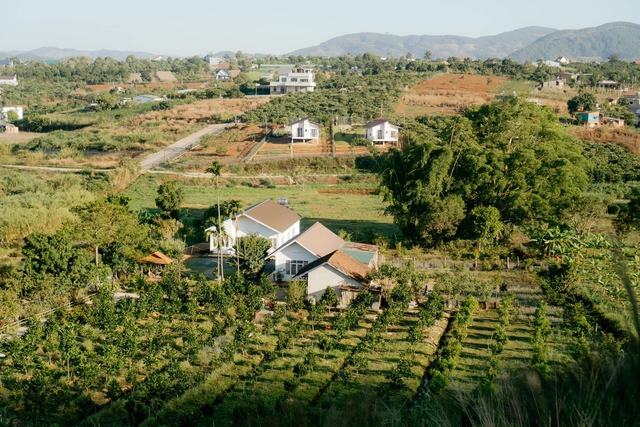  Mơ sống gần gũi với thiên nhiên, gia đình 9x chi gần 2 tỷ về quê làm vườn nhưng vẫn kinh doanh ở thành phố để bớt gánh nặng tài chính  - Ảnh 1.