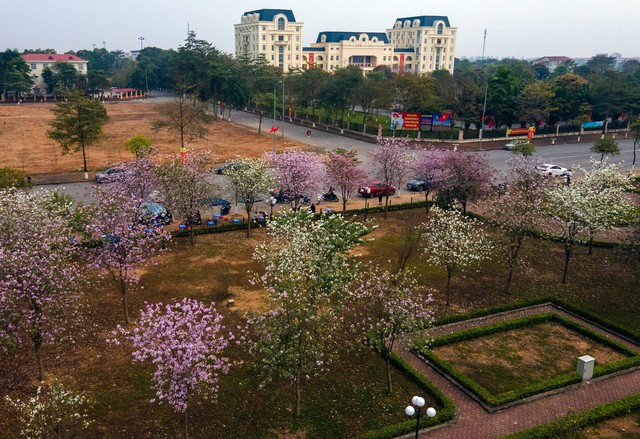  [Photo Essay] Bất động sản Mê Linh chuẩn bị bước vào chu kỳ mới  - Ảnh 11.