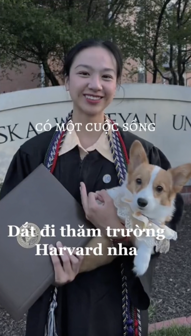  Vụ nữ sinh Việt bị tố nói dối học Y Harvard có học bổng toàn phần, chính chủ lên tiếng khẳng định: Mình là sinh viên của trường - Ảnh 1.