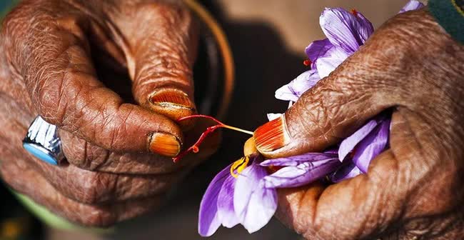 Loại gia vị đắt đỏ nhưng tận dụng có thể chống bệnh tiểu đường, tăng cường trí nhớ và tốt cho da - Ảnh 1.