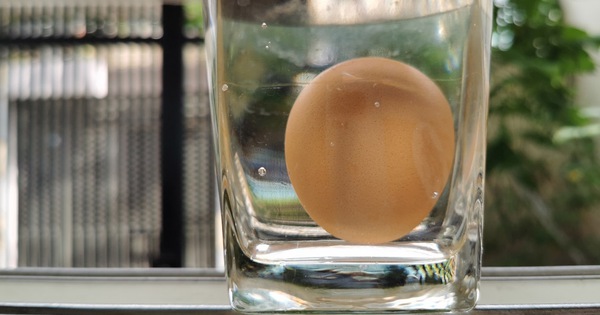 Chuyên gia Mỹ khuyên khi thấy trứng có dấu hiệu này thì không nên mua - Ảnh 5.
