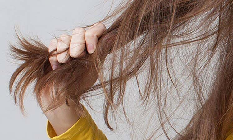 7 nguyên nhân khiến tóc xơ xác, thưa thớt: Hiểu để chăm sóc tóc khỏe mạnh - Ảnh 1.