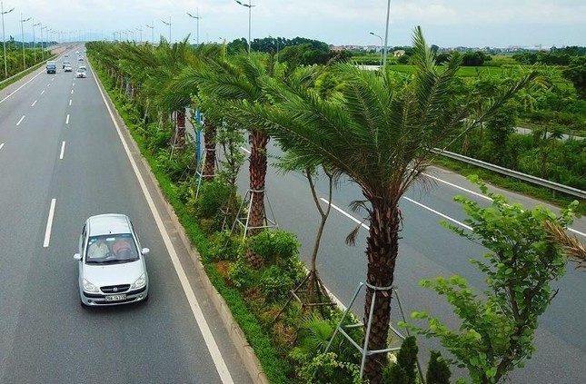 Hai nguyên Phó Chủ tịch UBND TP Hà Nội bị đề nghị xử lý trong vụ thổi giá cây xanh - Ảnh 1.